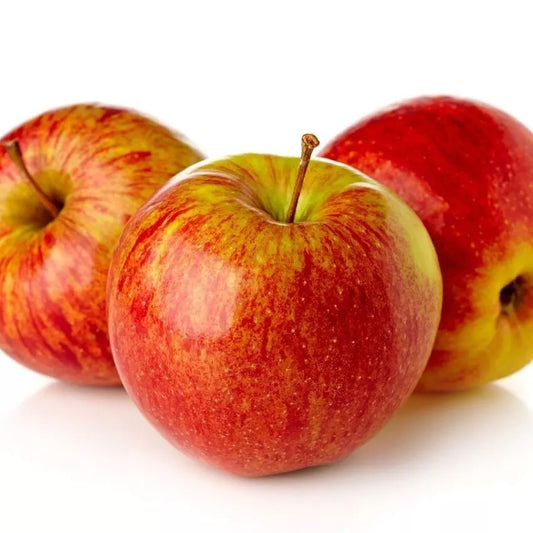 Anna Apple Bareroot Tree Organic "Live Tree"