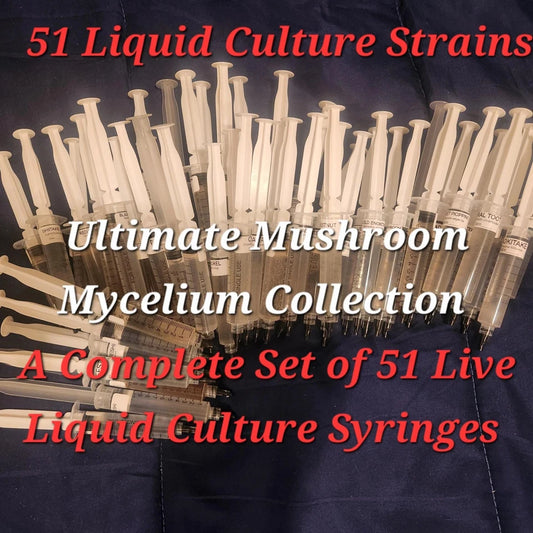 51 Culinary Mushroom Liquid Culture Syringes 10ml - Grey Oyster, Lion's Mane, Portobello & More - Fresh Mycelium Cultures