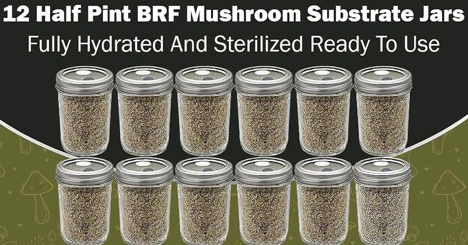 12pk Sterilized B.R.F. Jars with Injection Port - Dung Loving Mushroom Grow Kit - Complete Growing Solution for Mushrooms