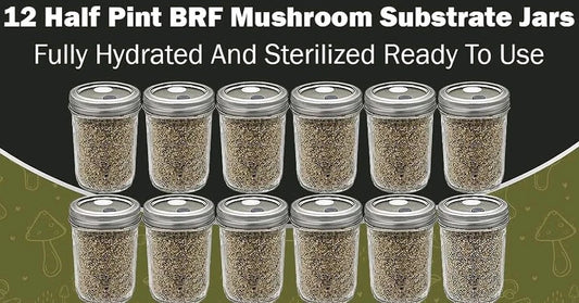 12pk Sterilized B.R.F. Jars with Injection Port - Dung Loving Mushroom Grow Kit - Complete Growing Solution for Mushrooms