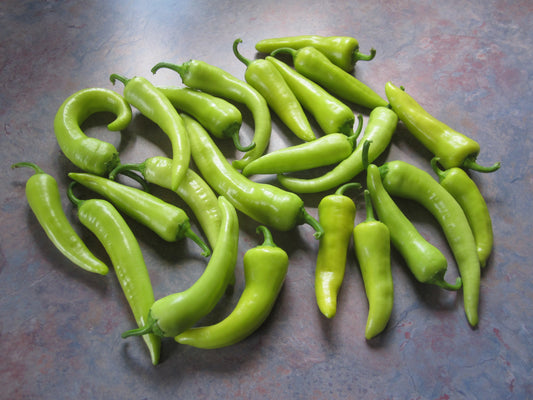Sweet Banana Pepper (Capsicum annuum 'Sweet Banana')
