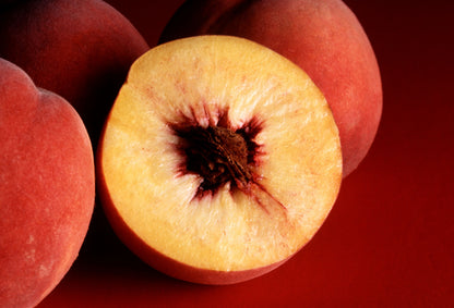 Nemaguard Peach (Prunus persica var. Nemaguard)