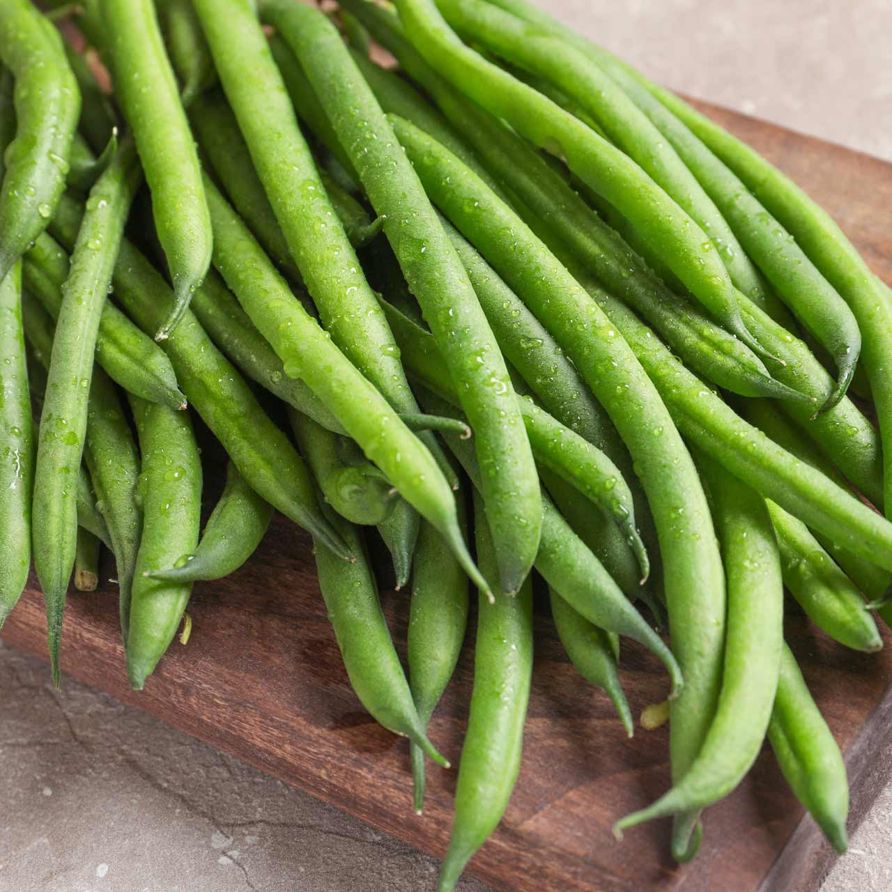 Provider Bush Beans (Phaseolus vulgaris 'Provider')