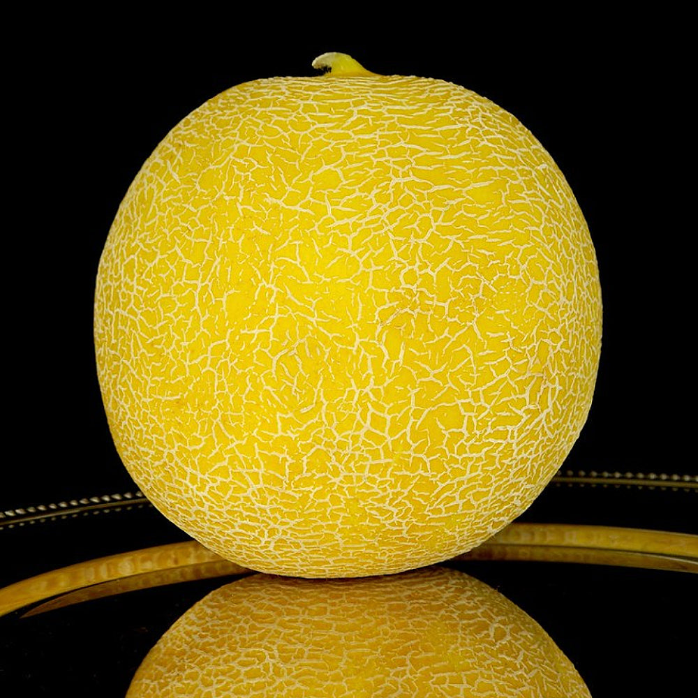 Hearts Gold Cantaloupe Hearts Melon (Cucumis melo 'Hearts of Gold')