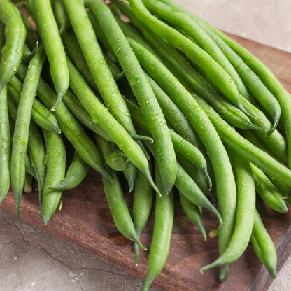 Green Bean Tenderette Bean (Phaseolus vulgaris 'Tenderette')